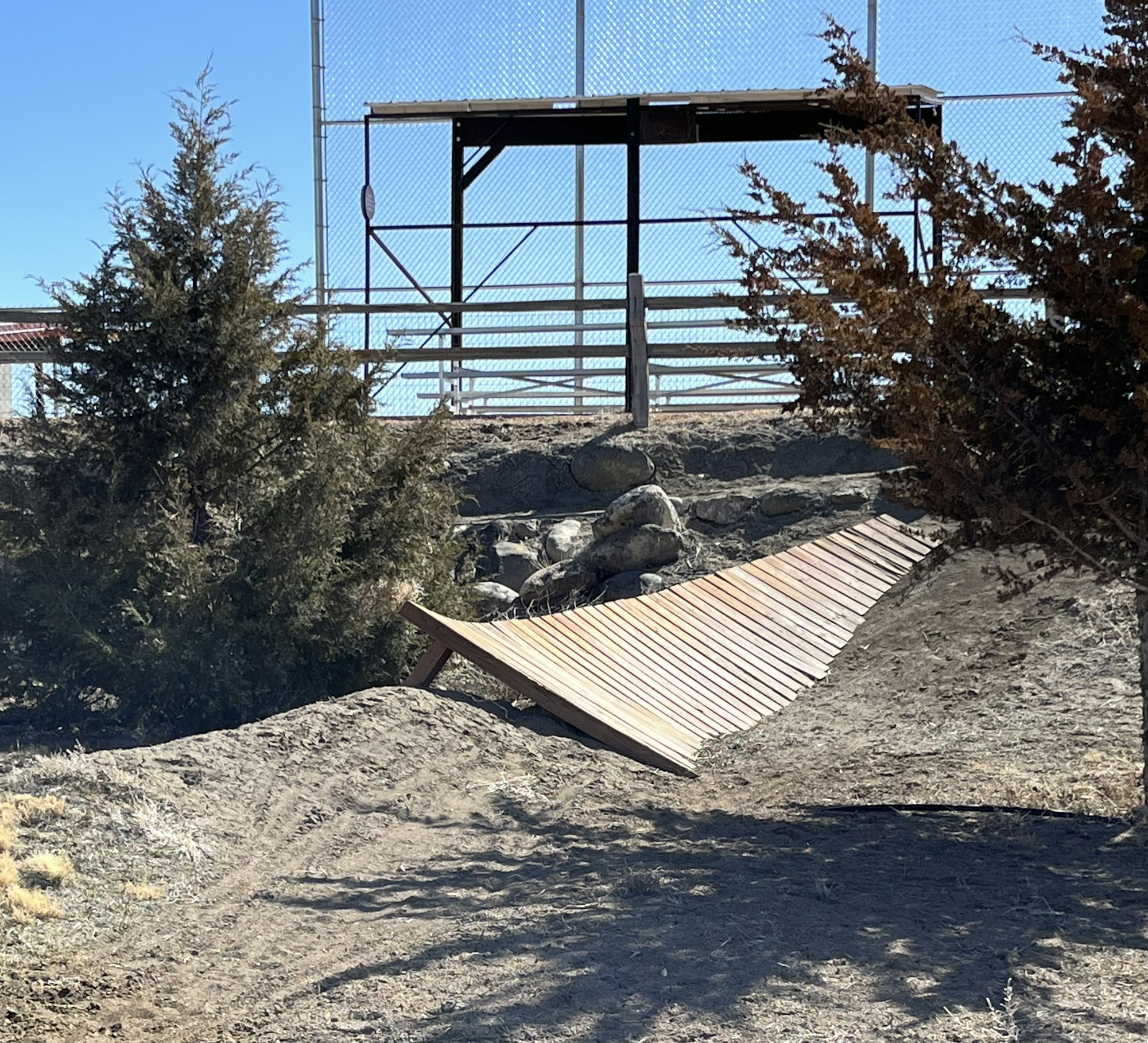 A wooden ramp on a dirt slope near some bushes and a fenced background.