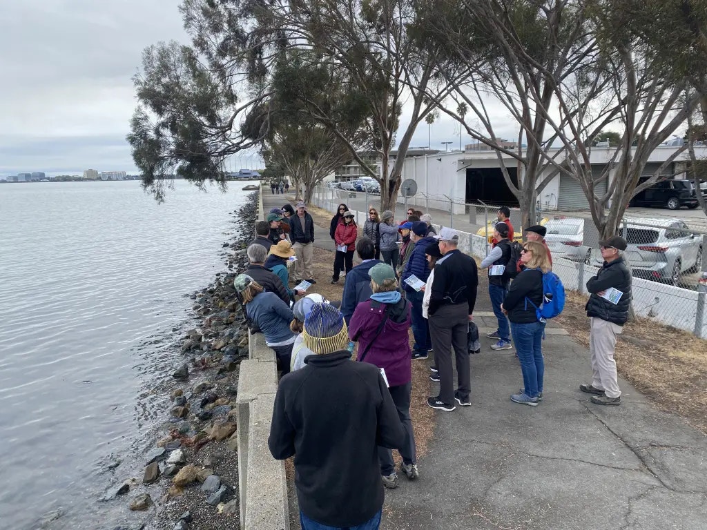 A group of people gathered by a waterfront, likely engaged in an educational activity or nature observation.