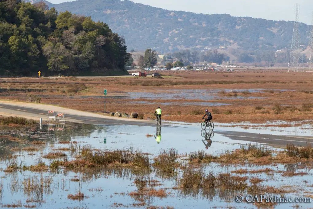 Two cyclists ride on a flooded road surrounded by marshland and hills in the background. Bright sky and reflections are visible.
