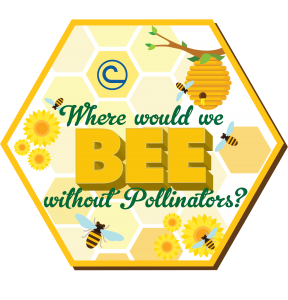 May contain: food, honey, animal, bee, honey bee, insect, and invertebrate
