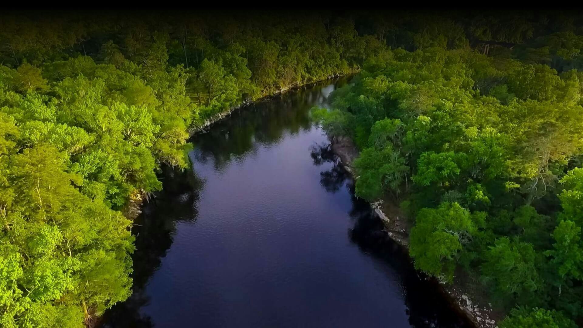 A serene river flows through lush green forest, viewed from above.