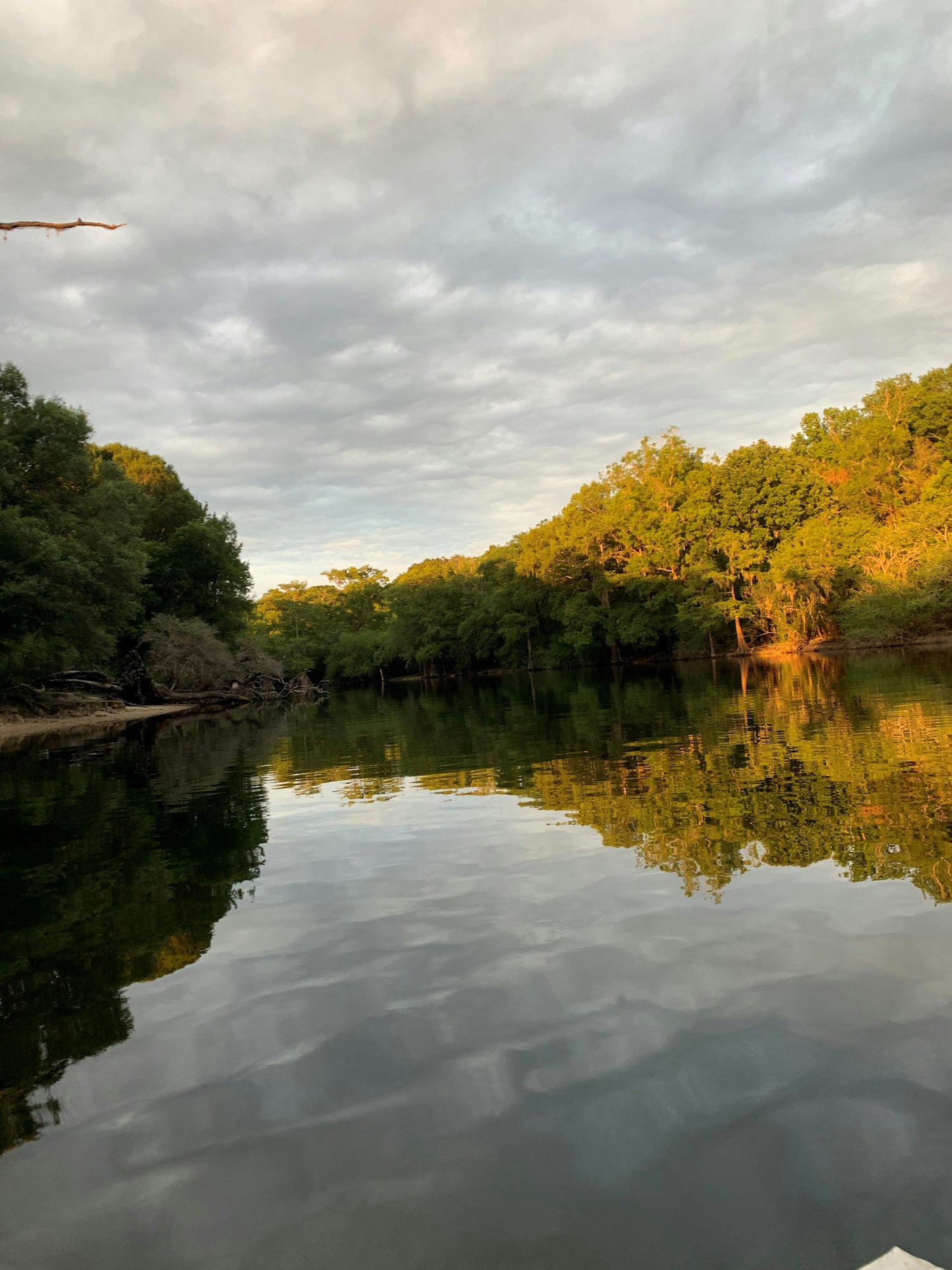 A calm river with trees lining both sides, mirrored reflections on the water.