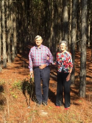 May contain: grove, land, nature, outdoors, plant, tree, vegetation, woodland, path, person, walking, clothing, pants, trail, adventure, hiking, leisure activities, wilderness, shirt, jungle, face, head, photography, portrait, and grass