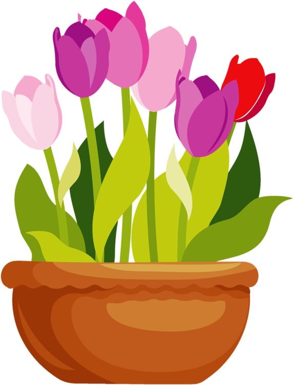 A potted arrangement of colorful tulips with green leaves in a brown pot.