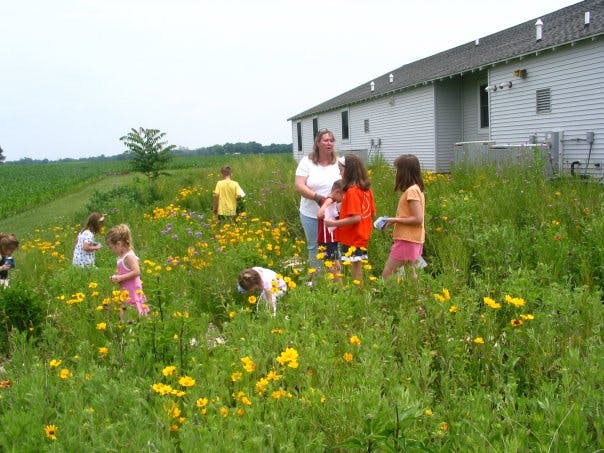 A group of children and an adult explore a field of colorful wildflowers beside a building on a sunny day.
