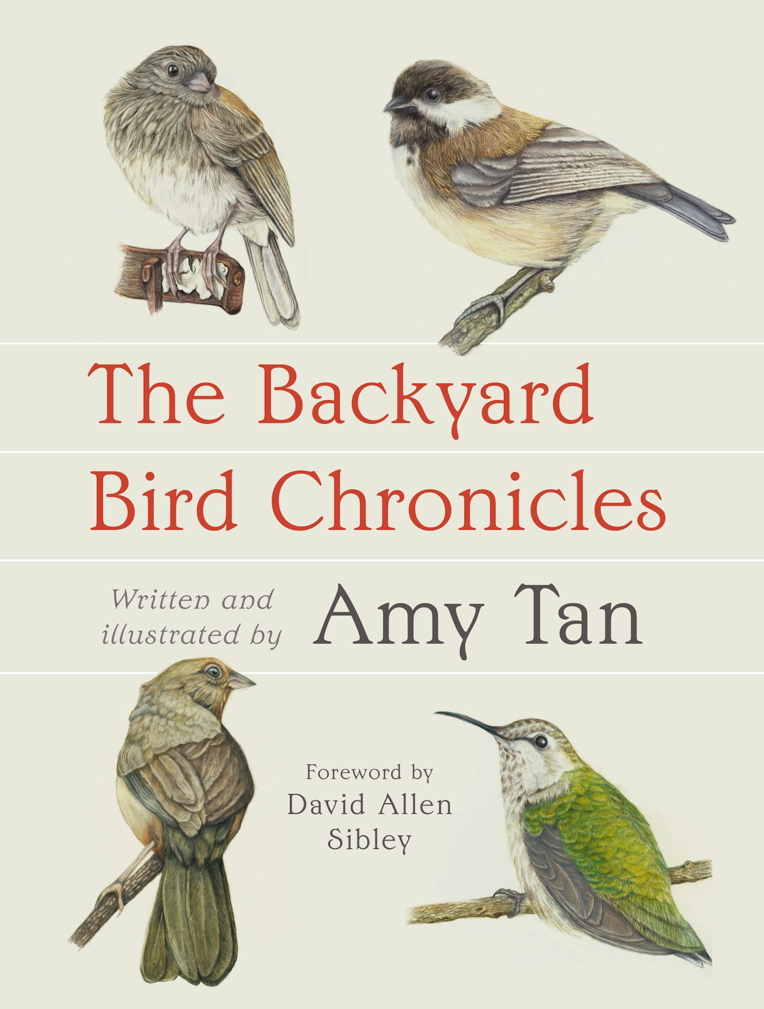 Illustrated birds and text: "The Backyard Bird Chronicles" by Amy Tan, with foreword by David Allen Sibley.