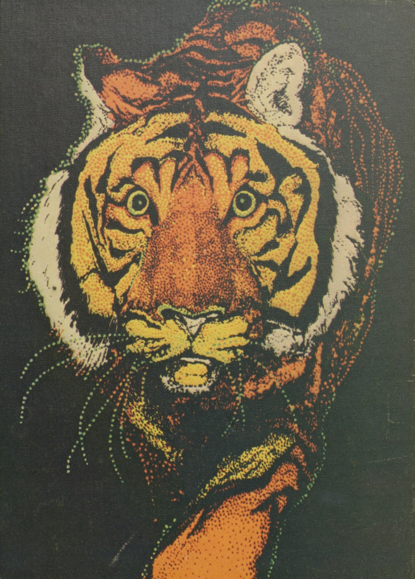 An illustrated tiger with vivid orange and black stripes against a dark background.