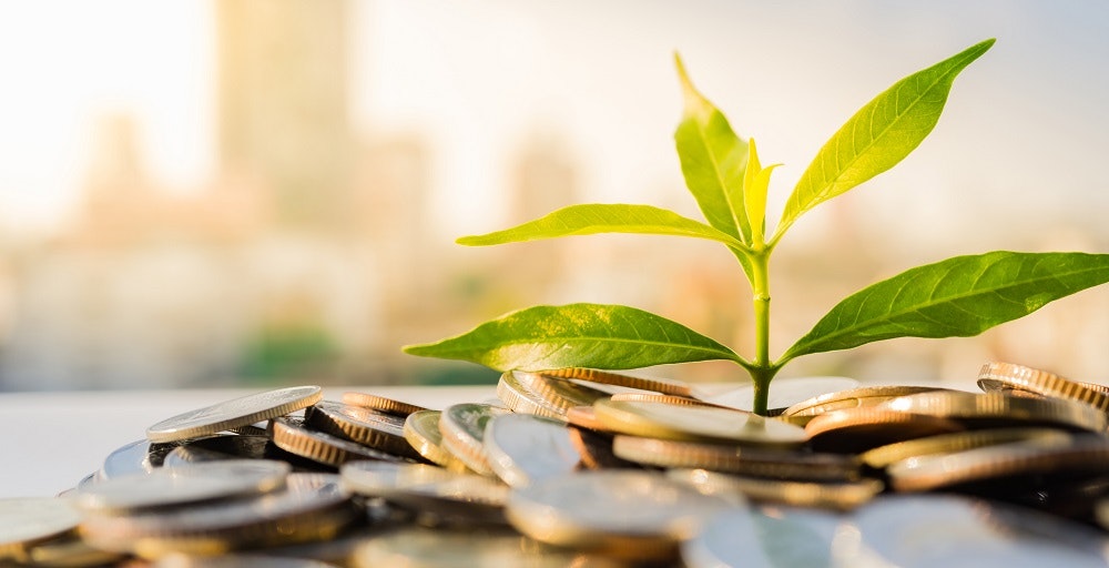 Plant growing from a pile of coins