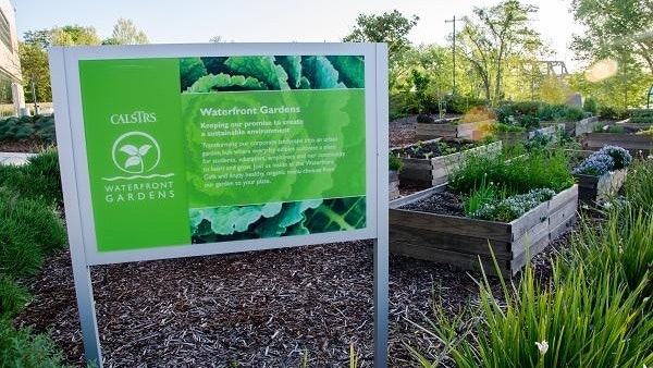 Waterfront Gardens