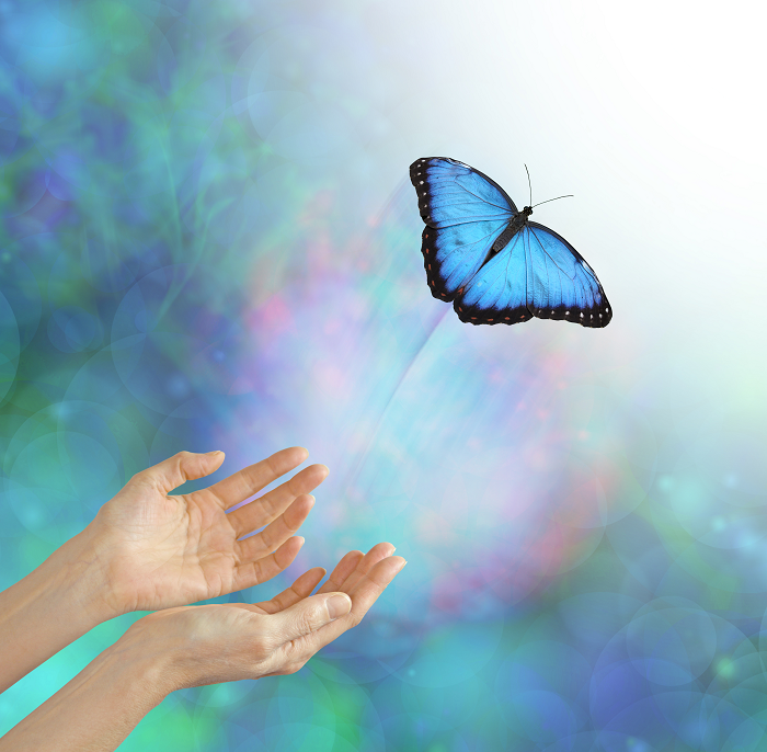 A blue butterfly landing on open hands against a colorful bokeh background.