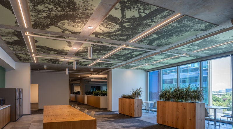 Modern office space with wooden tables, plants, abstract ceiling design, and large windows with a city view.