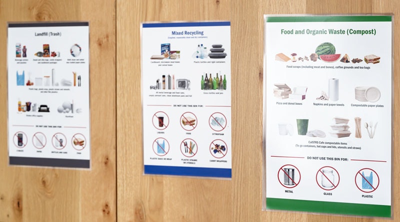 Three waste sorting posters: Landfill, Mixed Recycling, and Compost, each with lists and images of acceptable items.