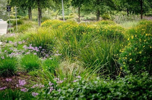 Green sustainability garden