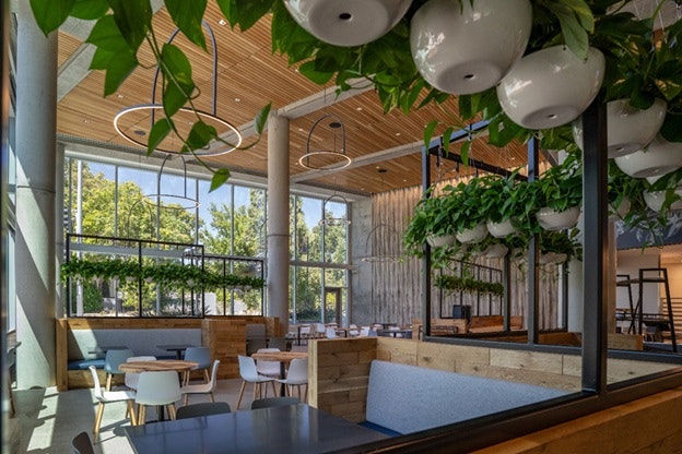 The Corner Cafe. A modern restaurant interior with large windows, wooden accents, potted plants hanging and around, and several dining tables and chairs.