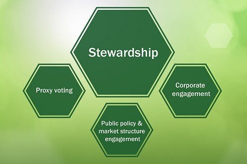 Green hexagons reading Stewardship, Proxy voting, Corporate engagement, and Public policy & market structure engagement