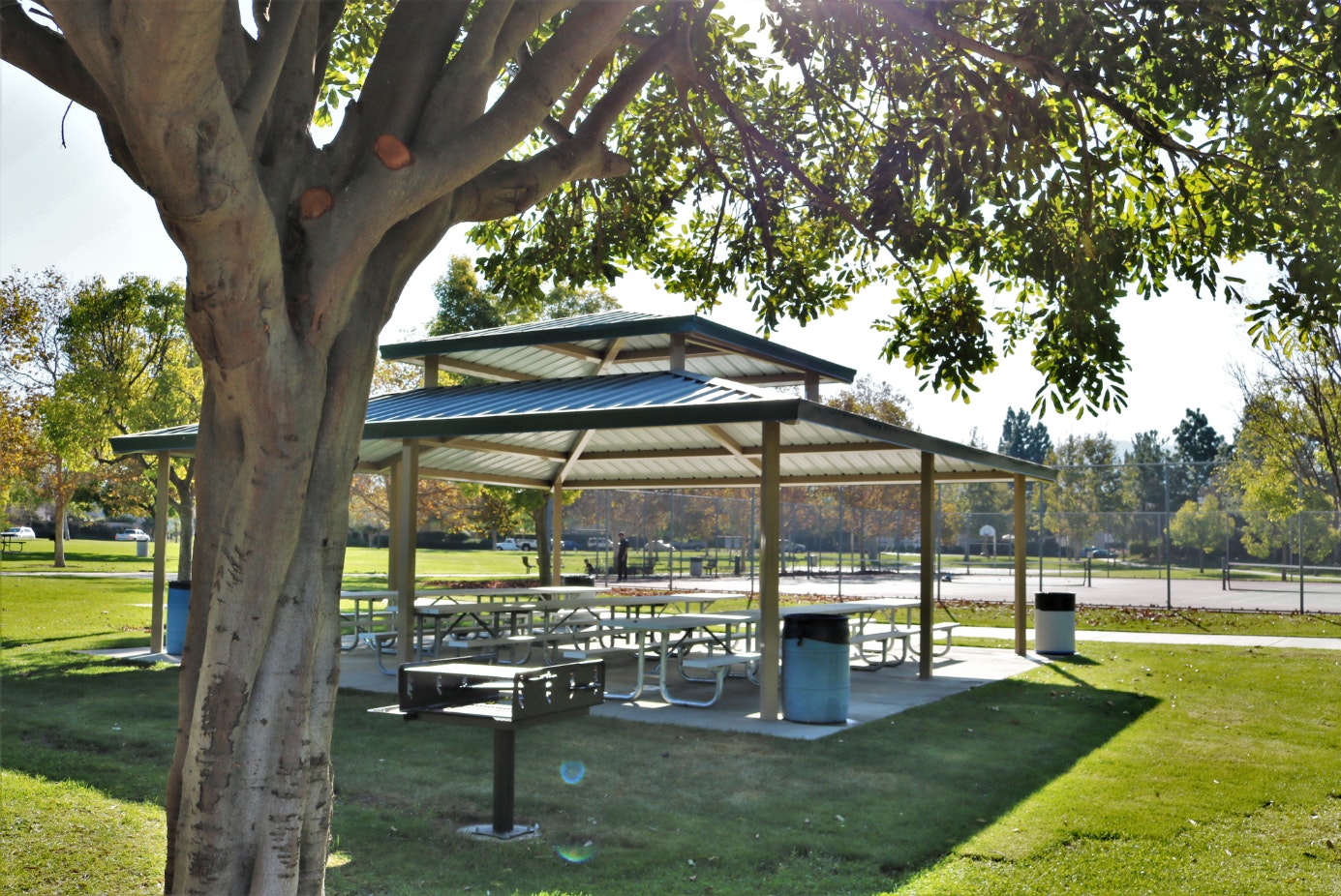 Pitts Ranch Park