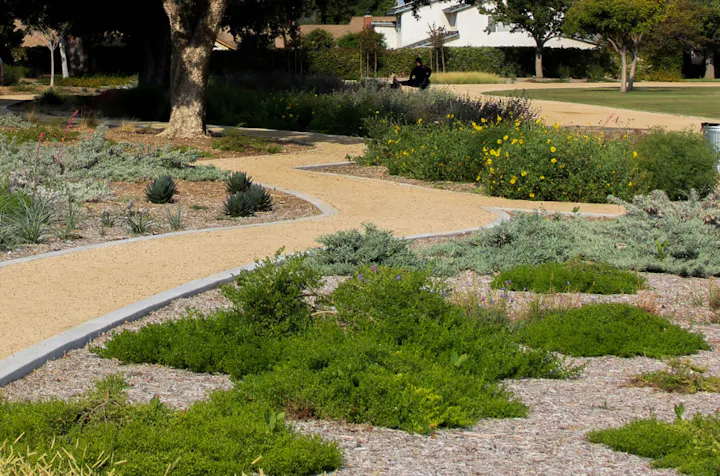 A winding pathway through a landscaped garden with various plants and a person sitting in the distance.