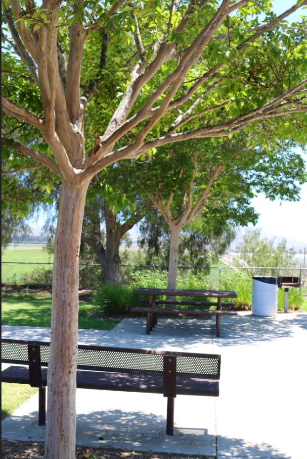 Carmenita Park