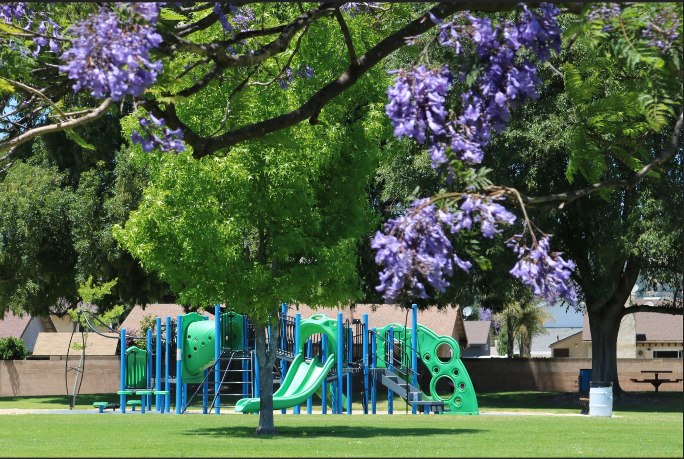 Adolfo Park