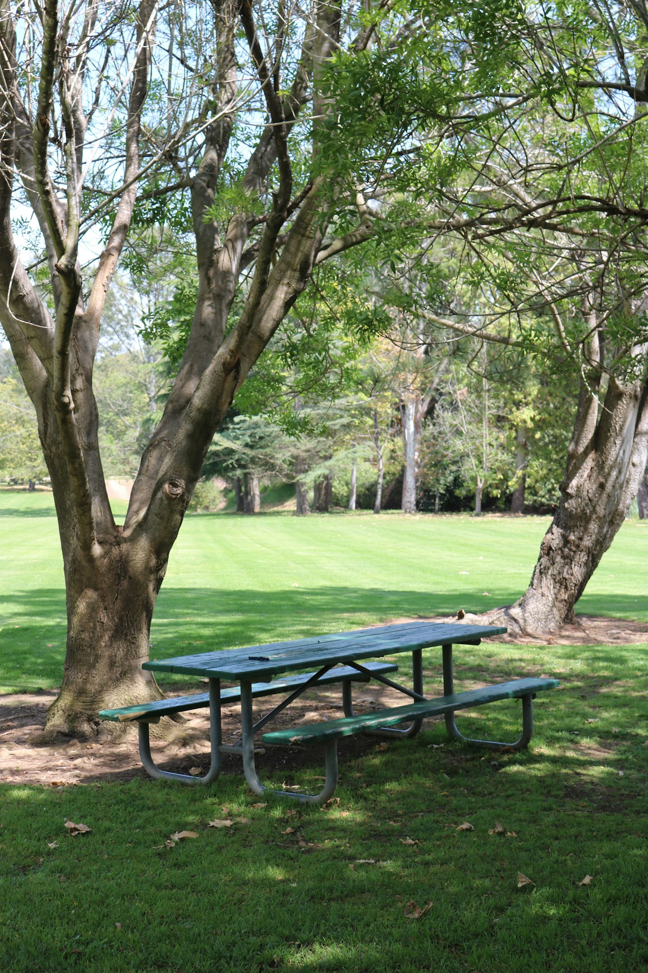 Heritage Park