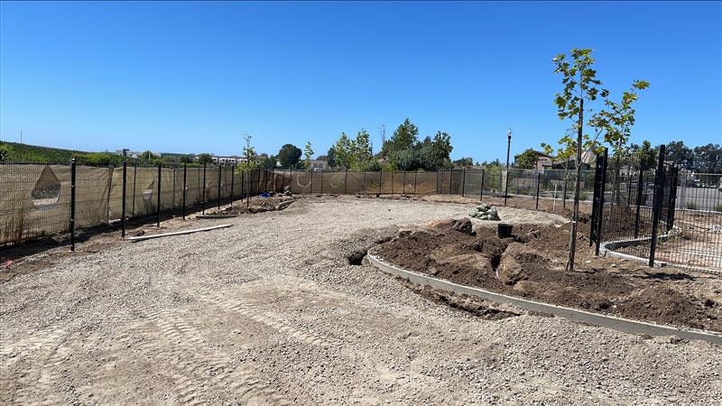 A construction site with gravel, newly planted trees, and a fenced area under a clear blue sky.