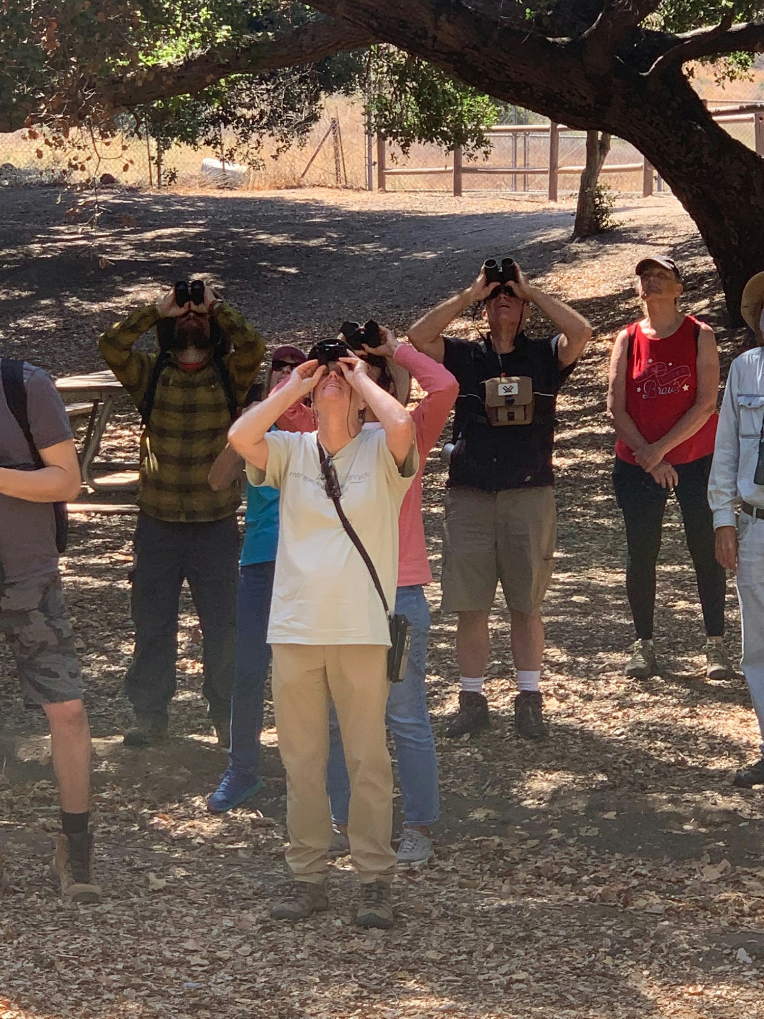 A group of people using binoculars, likely birdwatching, in a wooded area.