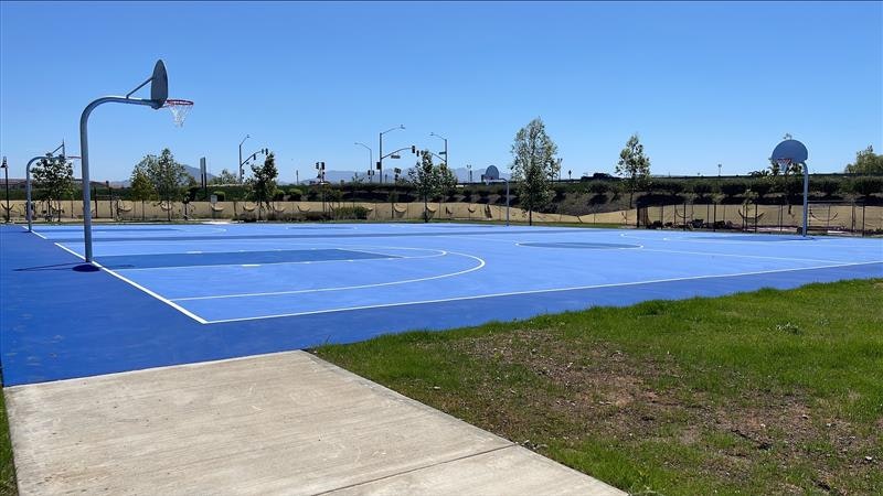A bright outdoor basketball court with a blue surface, surrounded by greenery and clear skies.
