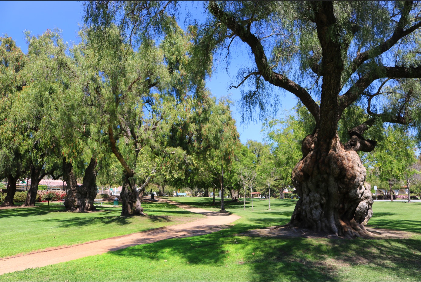 Nancy Bush Park