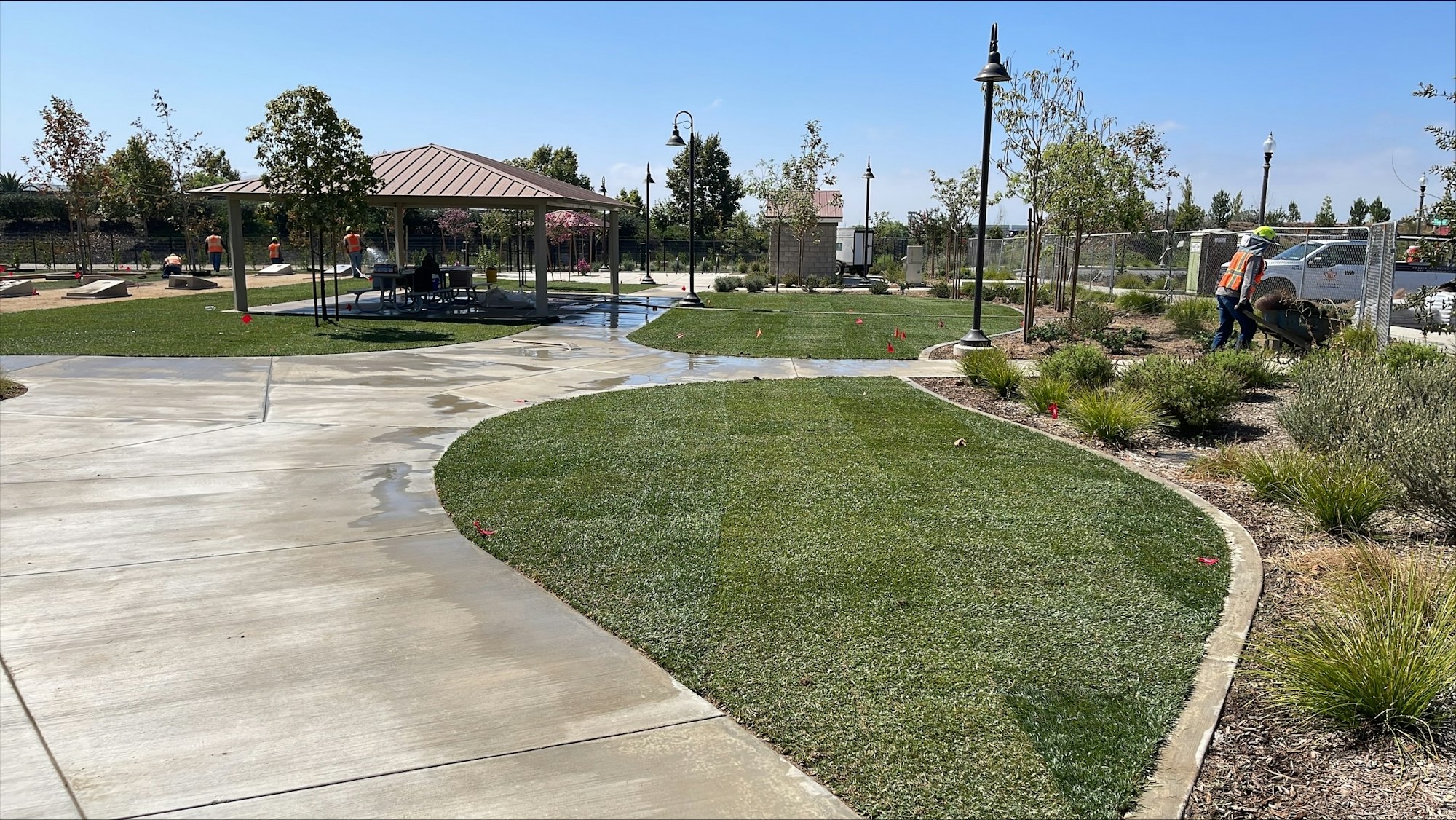 May contain: grass, plant, helmet, outdoors, nature, park, person, path, and sidewalk