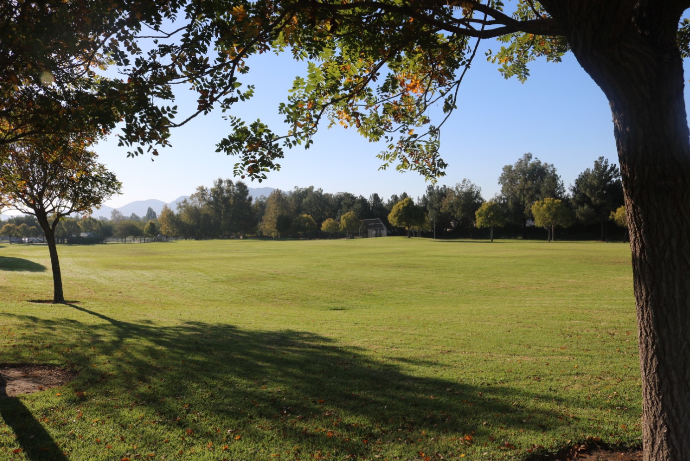 Pitts Ranch Park