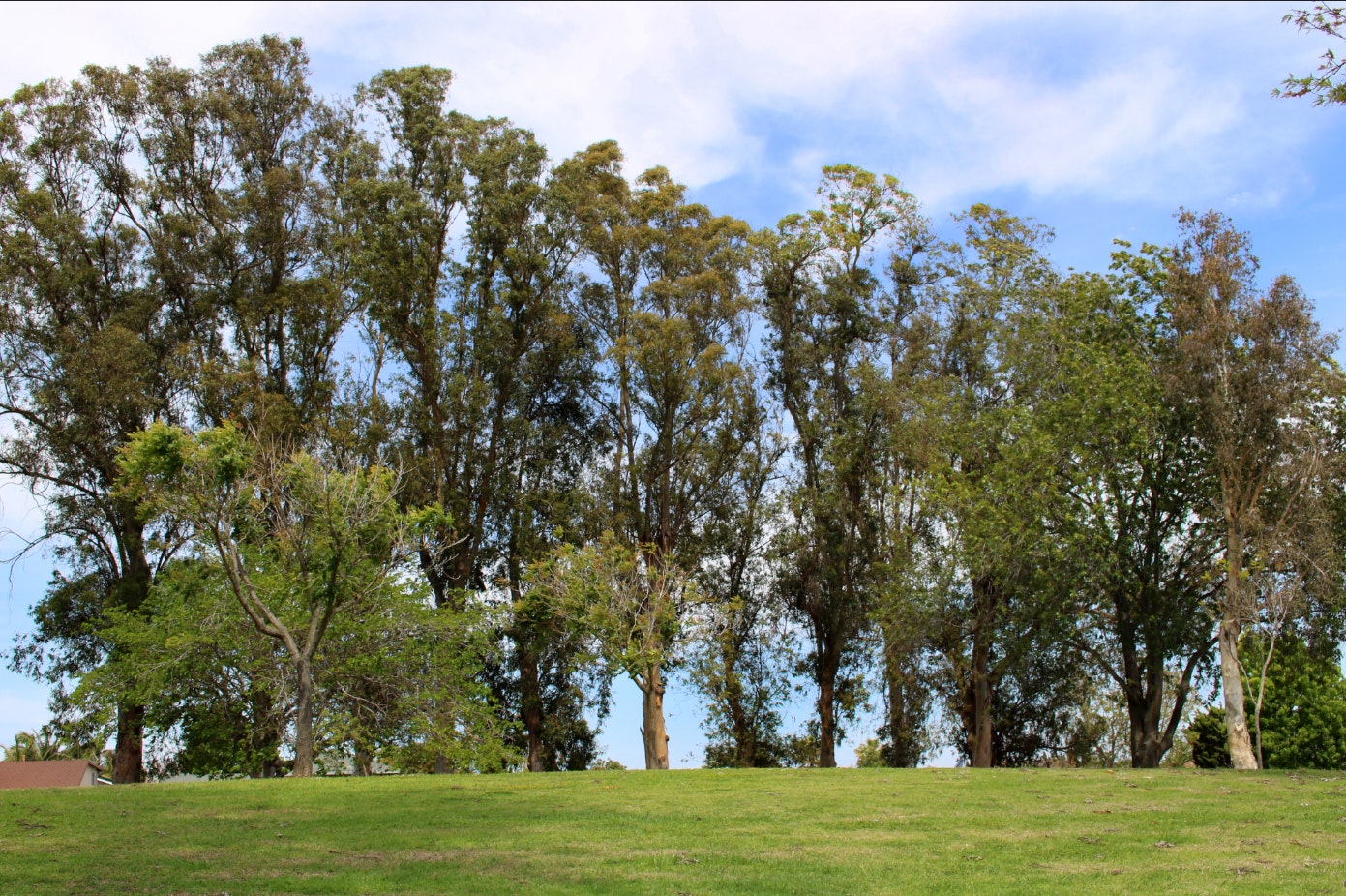 Foothill Park