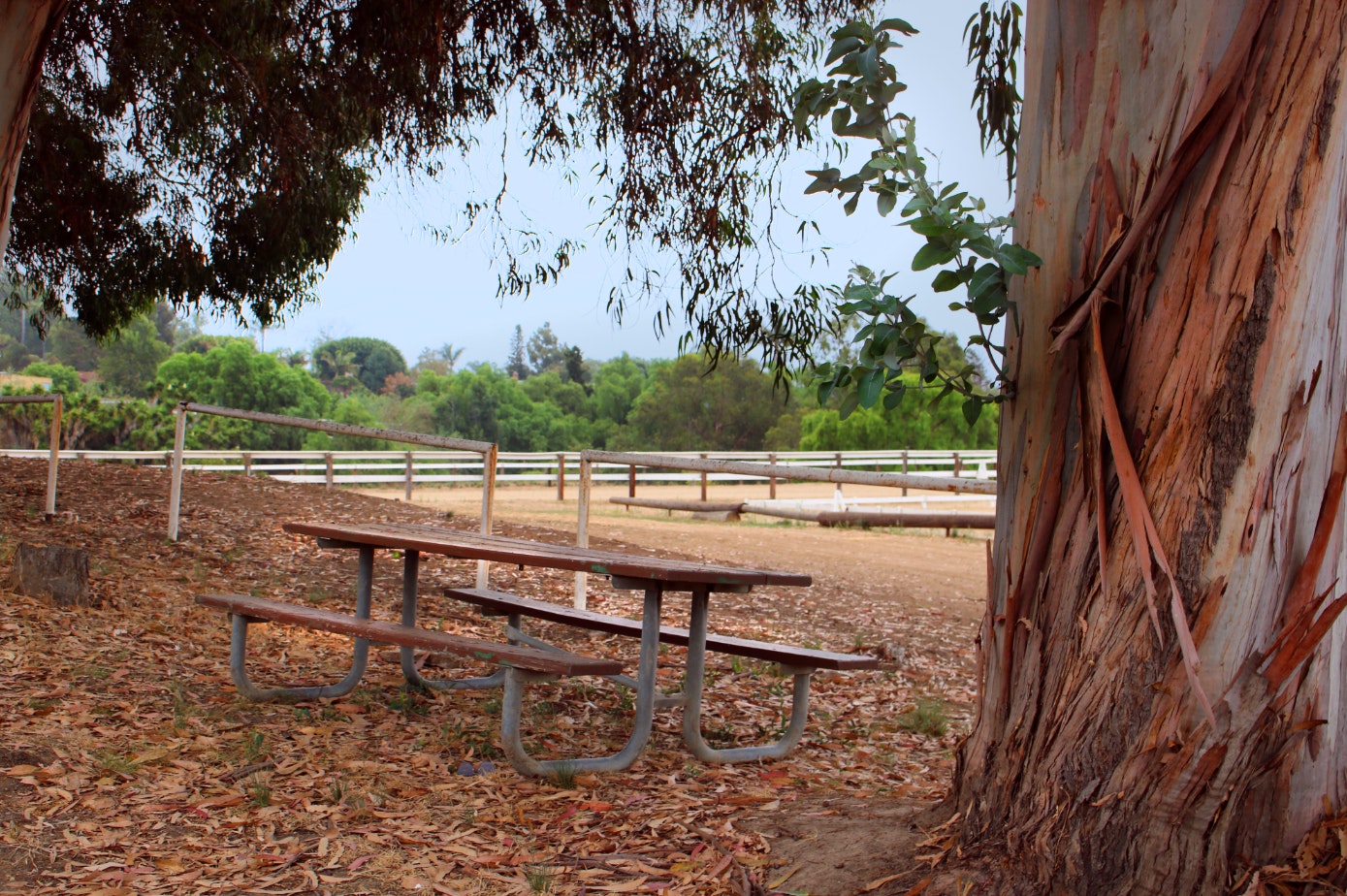 Las Posas Equestrian Center