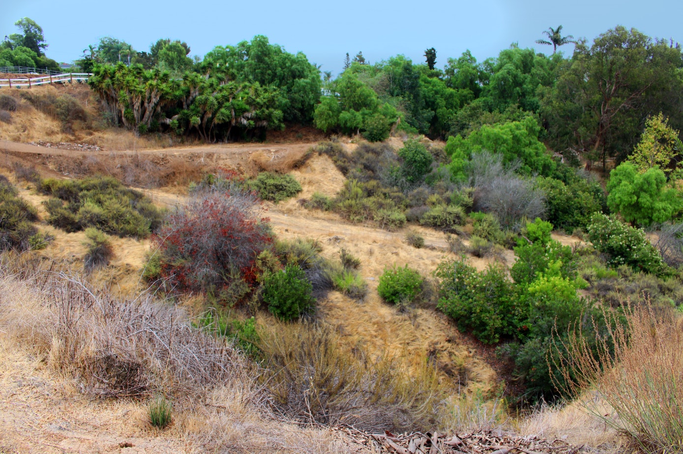 Las Posas Equestrian Center
