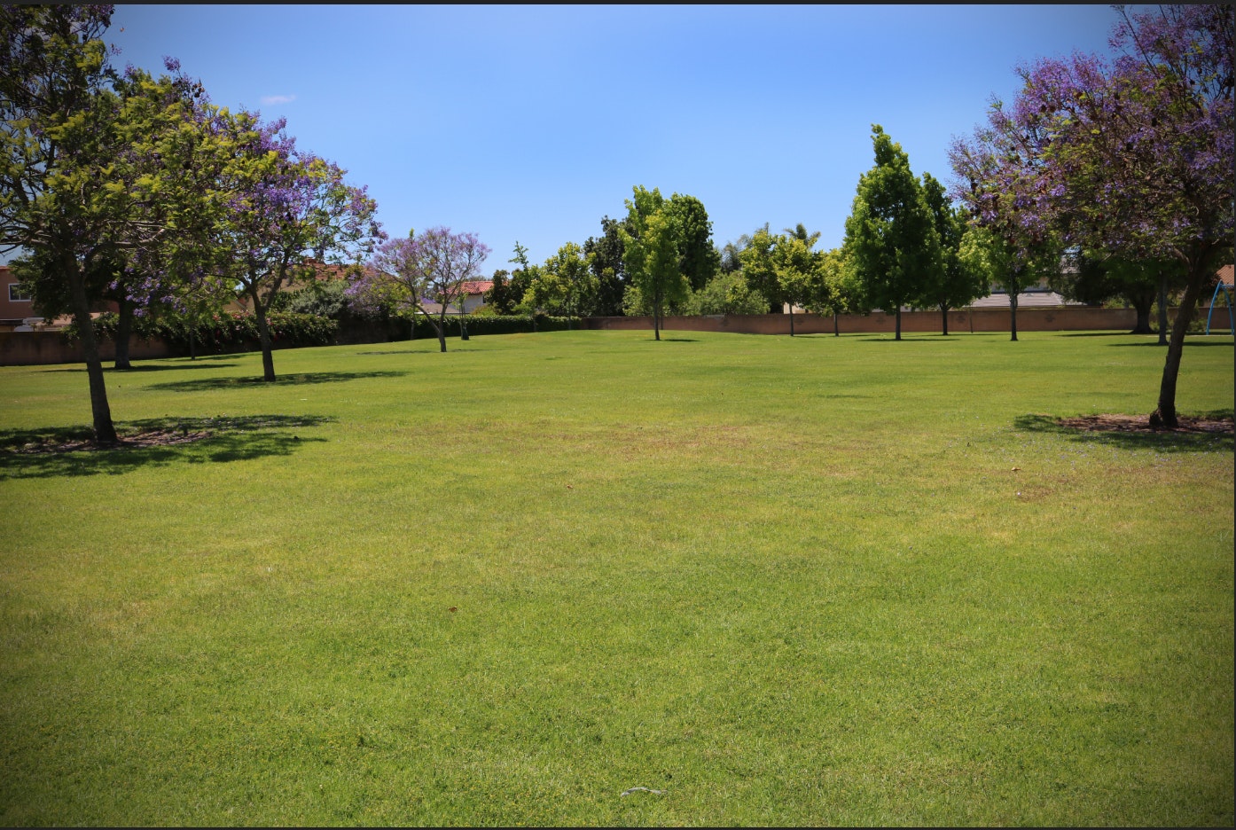 Adolfo Park