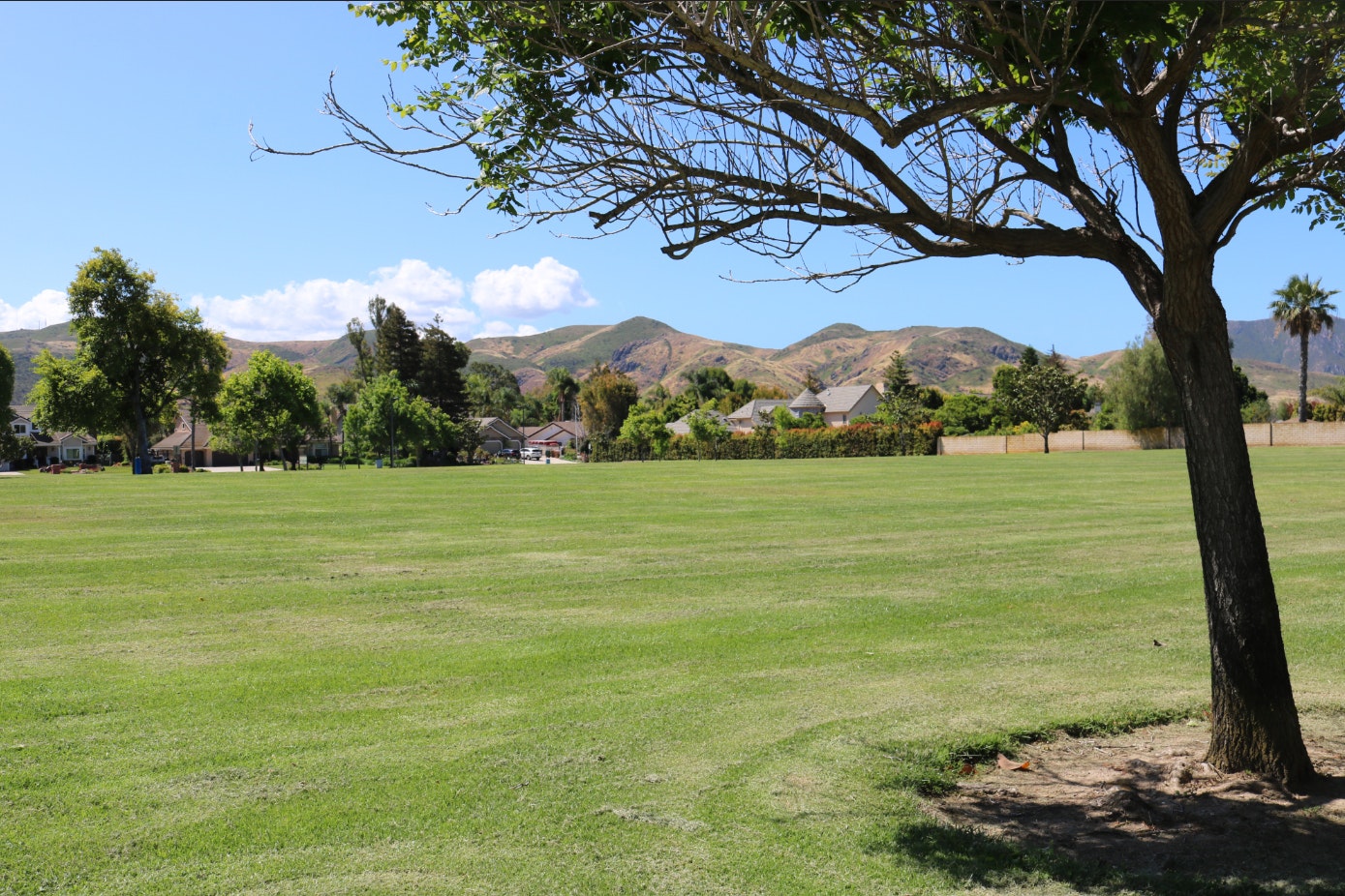 Quito Park