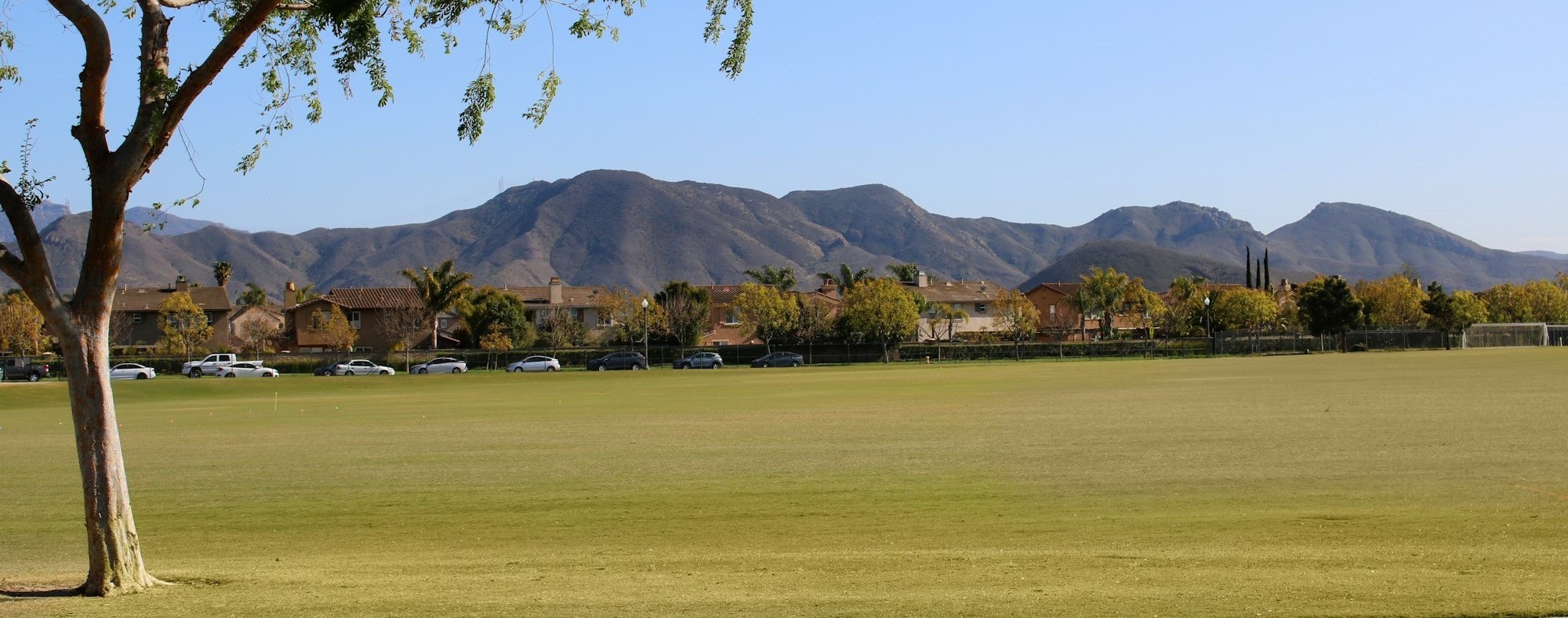 Tree, open grass field, houses, cars, trees, and mountains under a clear blue sky.