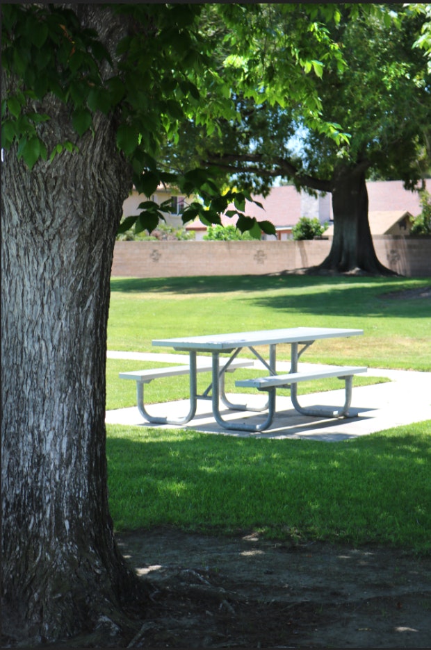 Adolfo Park
