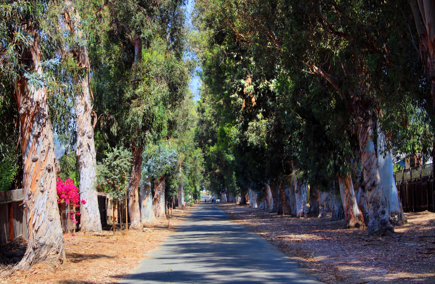 Charter Oak Park