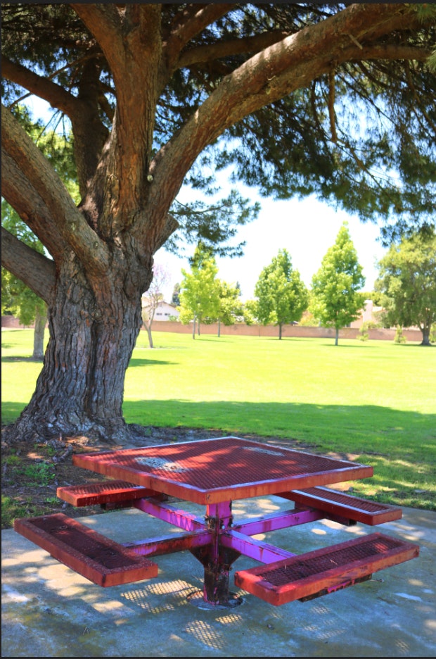 Adolfo Park