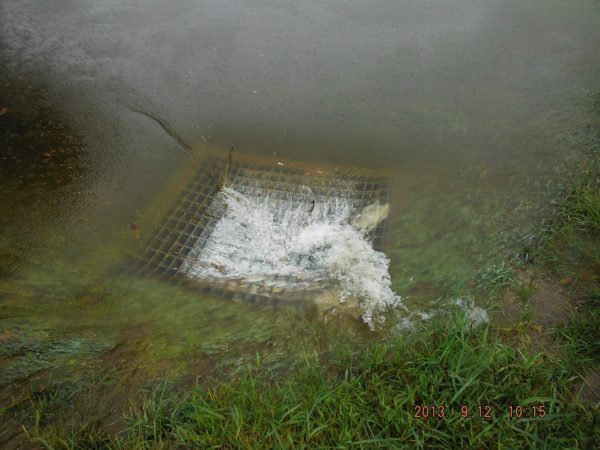 A storm drain with water flowing into it, surrounded by grass, and wet surface indicating rainfall.