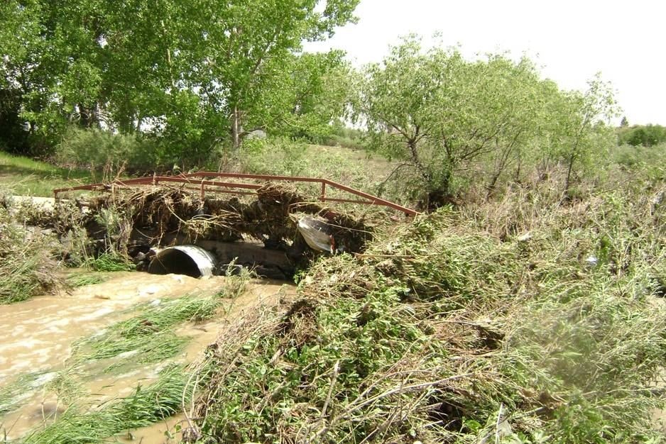 Debris-laden bridge over muddy water with green foliage.