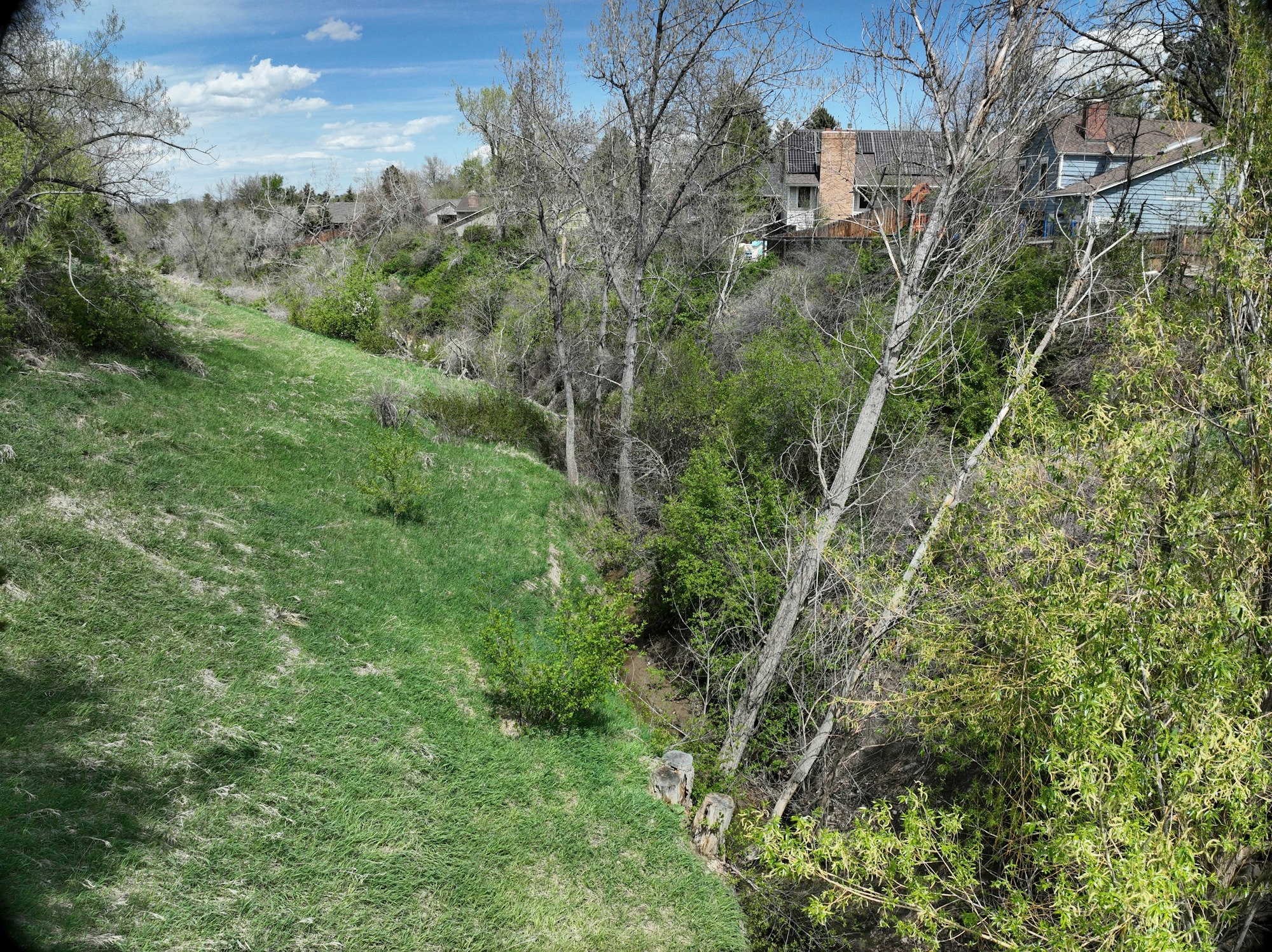A green hillside with sparse trees and a creek, surrounded by residential homes under a blue sky with scattered clouds.