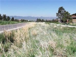 A roadside with overgrown grass, mountains in the distance, clear sky, and part of a house to the right.