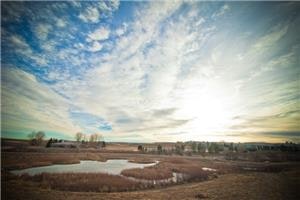 A picturesque landscape with a pond, grassland, and a dramatic sky at sunset or sunrise.