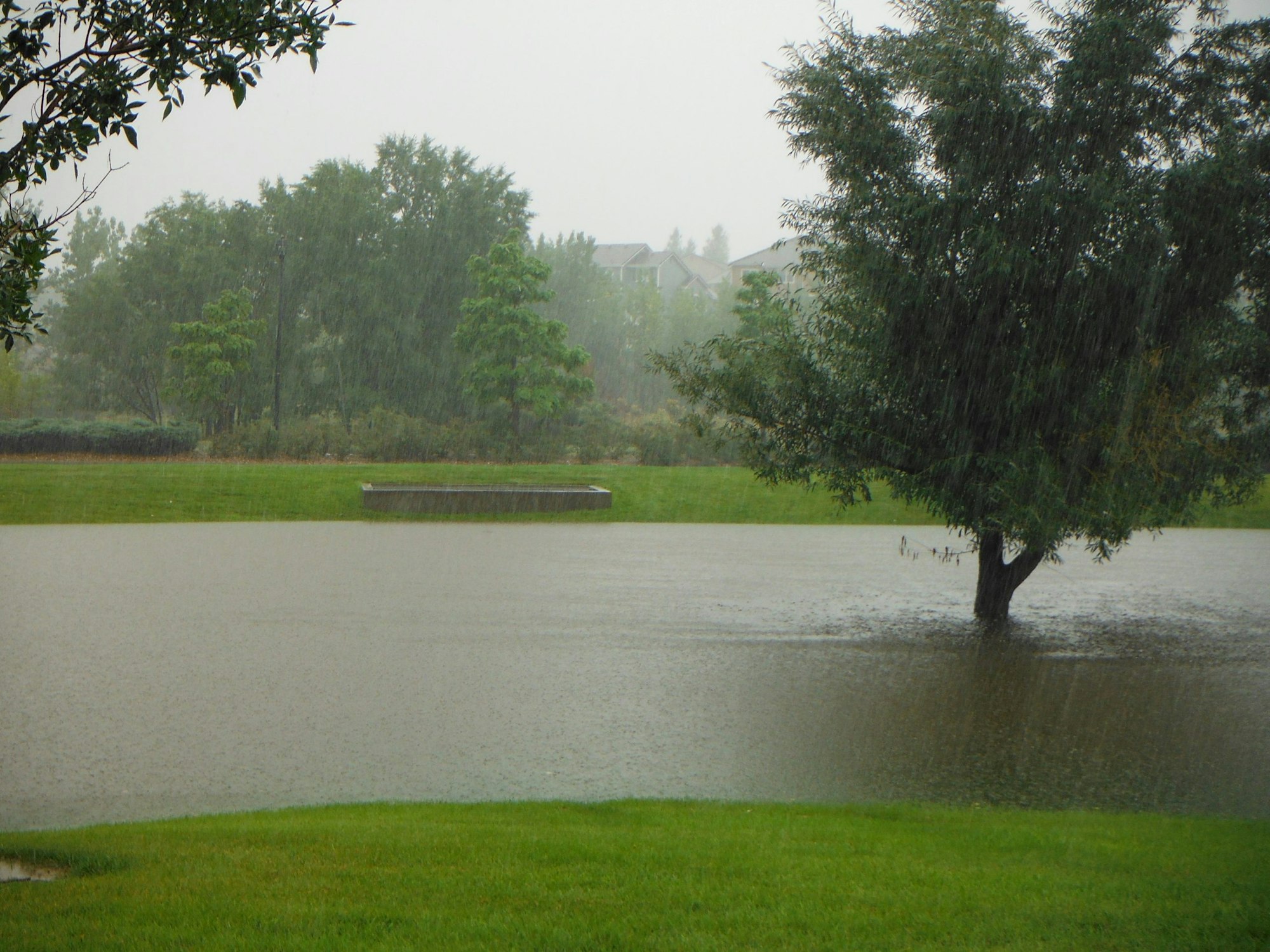 Rainfall over a flooded park with trees and a submerged bench.