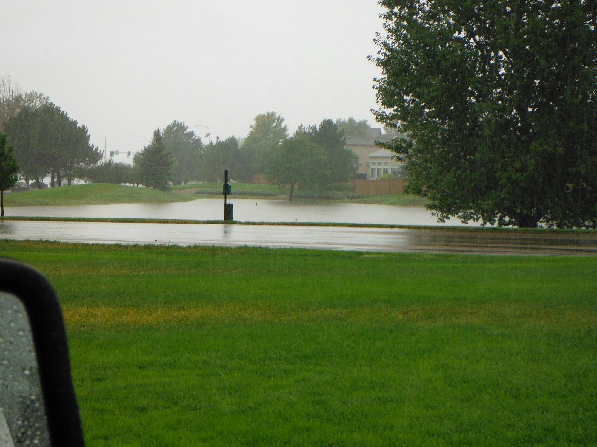 Flooded suburban street during rain with trees and grass visible.
