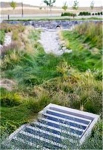 A blurred outdoor scene with greenery and what appears to be a grate or grid on the ground.