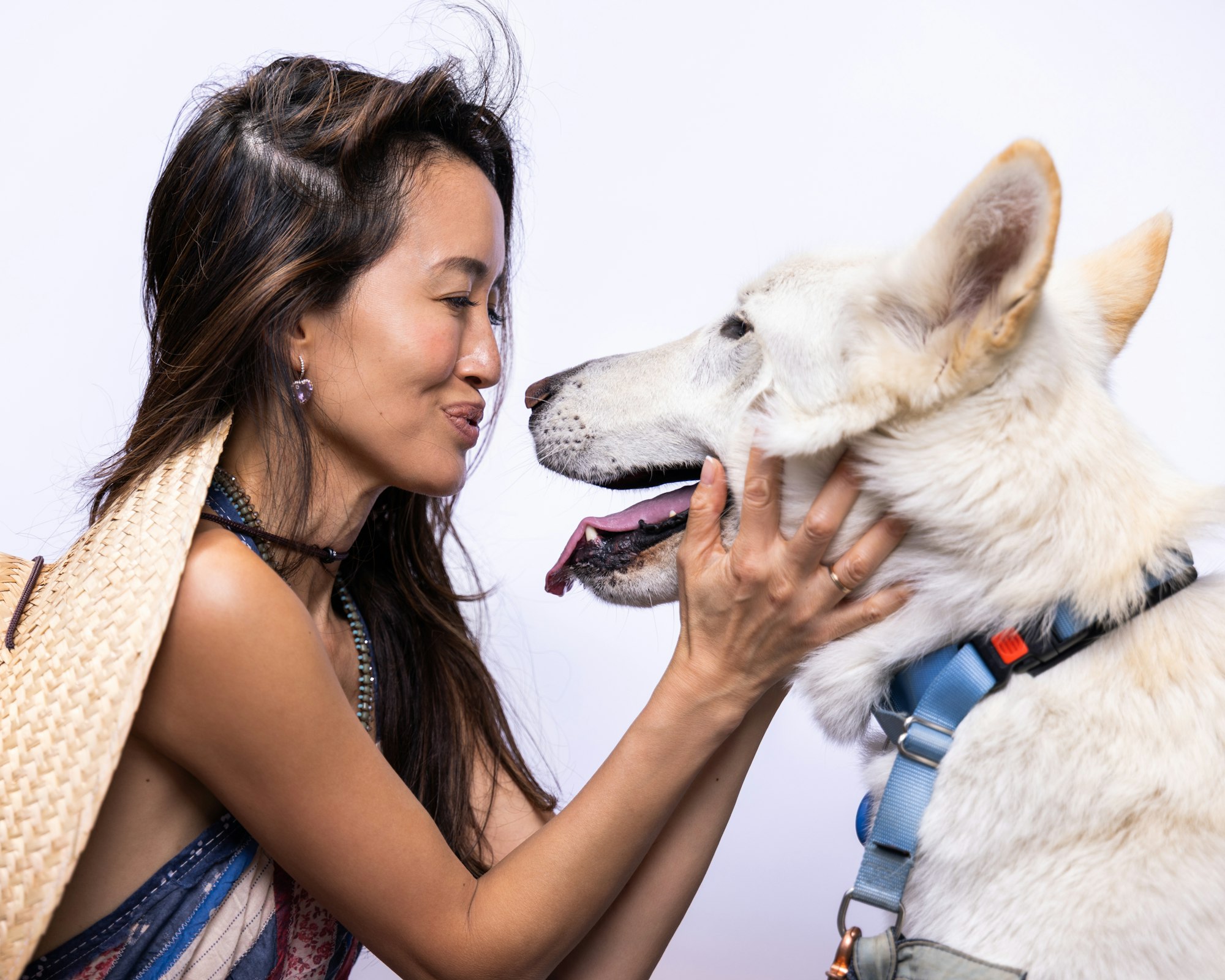 A person gently holding and smiling at a white dog with a blue collar.