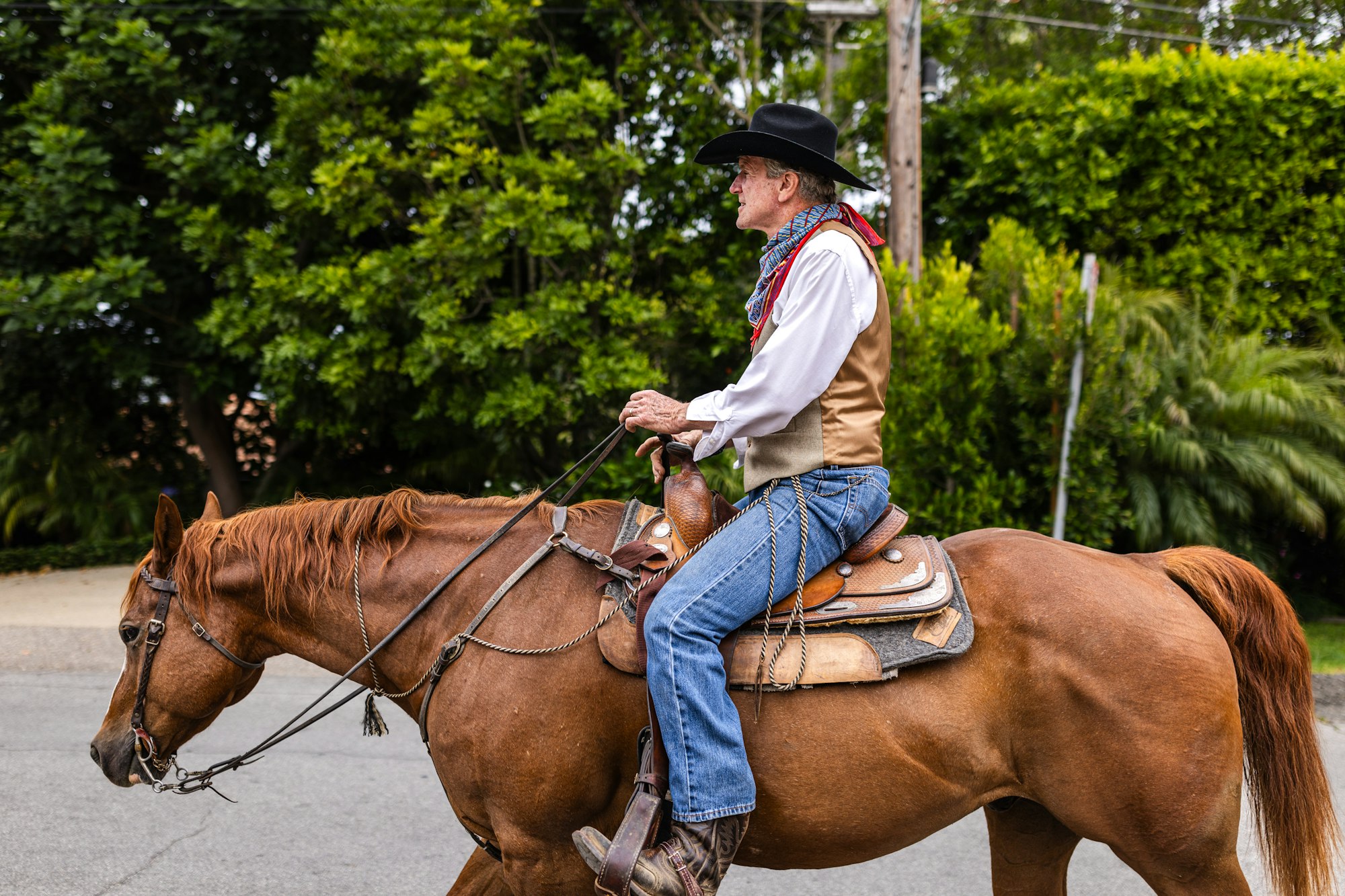 A man in a cowboy hat and scarf rides a brown horse on a street with green foliage in the background.
