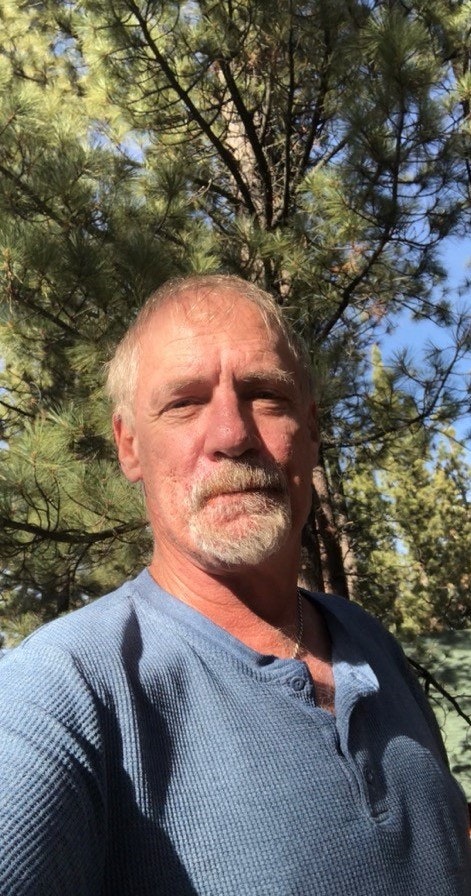 A man with short hair and a beard is posing outdoors among pine trees, wearing a blue henley shirt and looking at the camera.